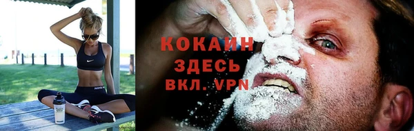 первитин Инсар