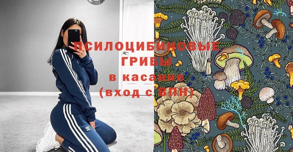 соль ск Иннополис