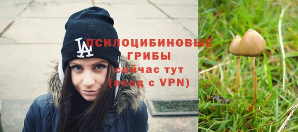 соль ск Иннополис