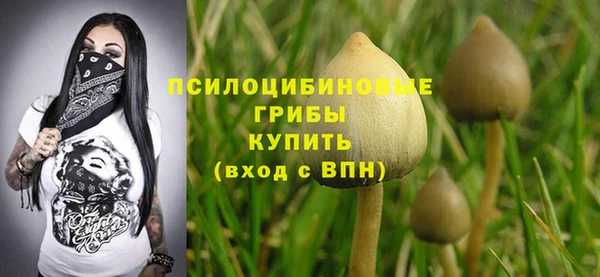 первитин Инсар